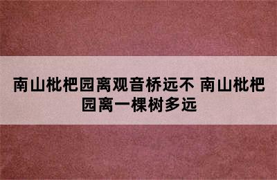 南山枇杷园离观音桥远不 南山枇杷园离一棵树多远